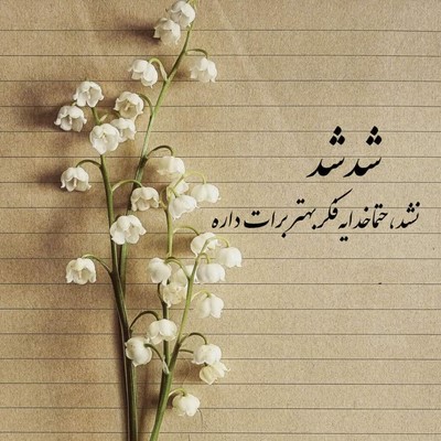 معین محسن چاوشی هایده بازم انگار هوای تو کردم